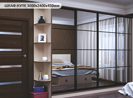 ШАФА-КУПЕ 3000х2400х450мм