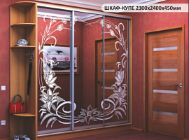 ШАФА-КУПЕ 2300х2400х450мм