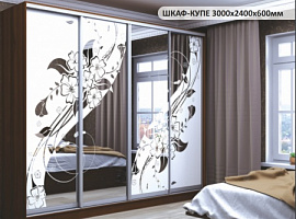 ШАФА-КУПЕ 3000х2400х600мм