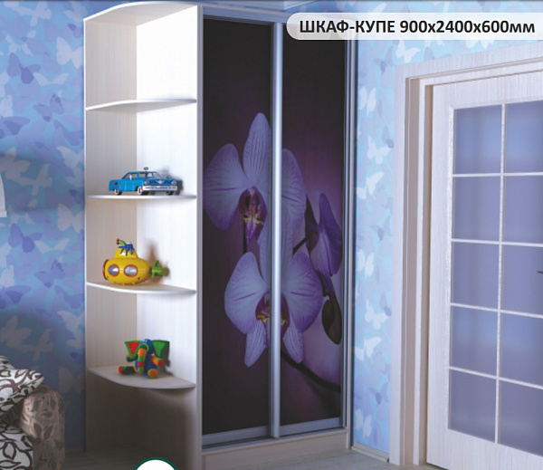 ШАФА-КУПЕ 900х2400х600мм