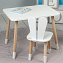 Детский стол 46х60х45 и стул разной формы 26.5х26х25, набор мебели для ребенка стол и стул