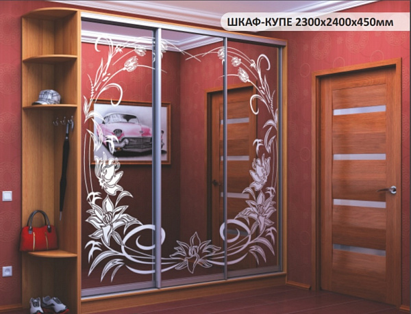 ШАФА-КУПЕ 2300х2400х450мм